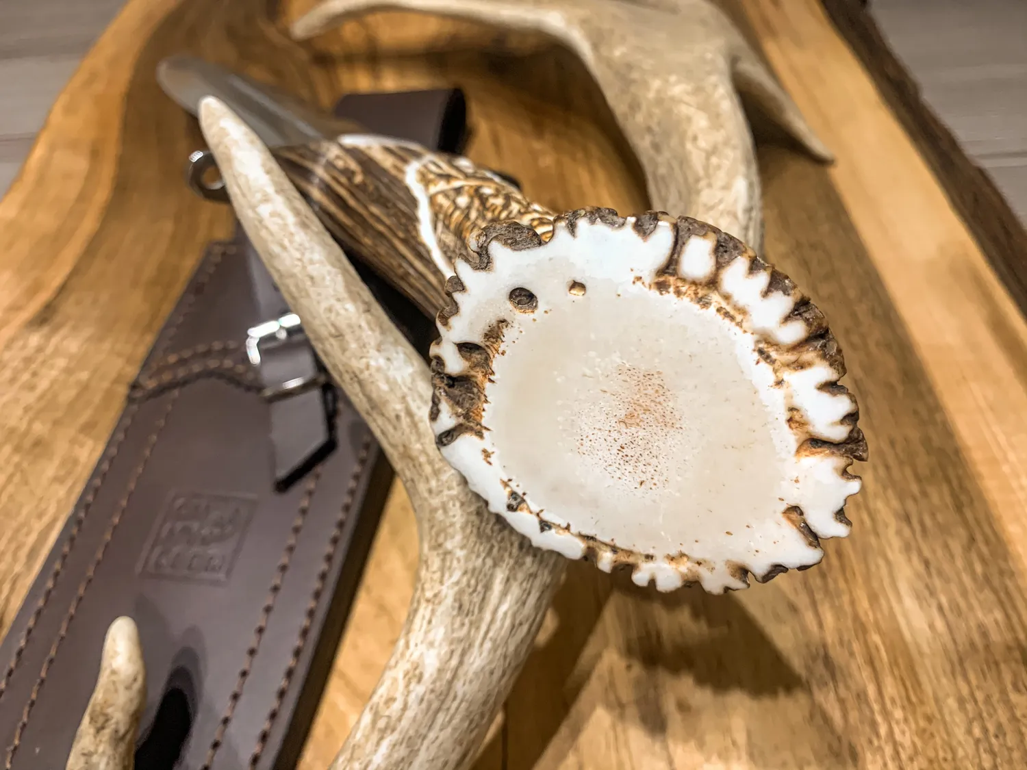 Oh My Deer Saufänger jagtkniv Böhler N690 massivt træ
