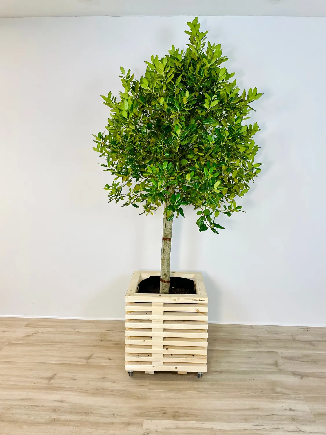 Kabeltromlen Planteskjuler plantekasse nye traller 52 cm