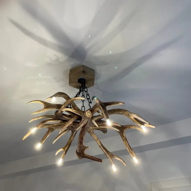 Oh My Deer Geweihlampe gevirlampe moderne kronelys
