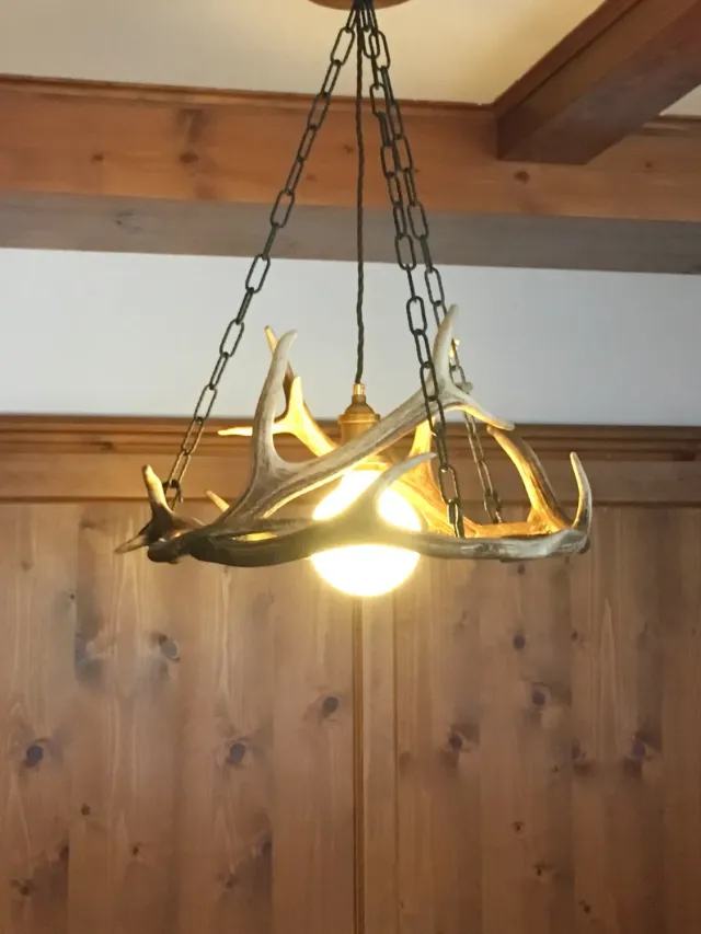Oh My Deer Geweihlampe lille bordlampe gevir