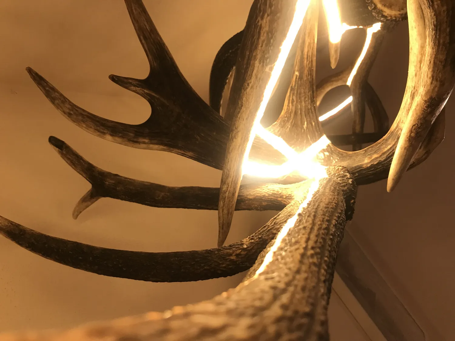 Oh My Deer Design Stehlampe gulvlampe design