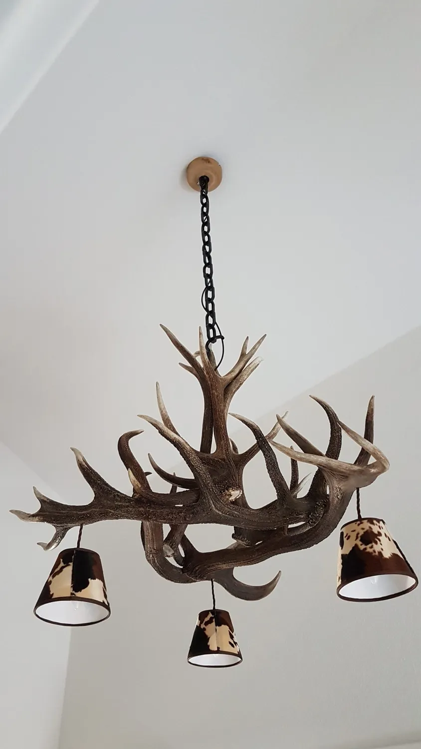 Oh My Deer Geweihlampe gevirlampe natur
