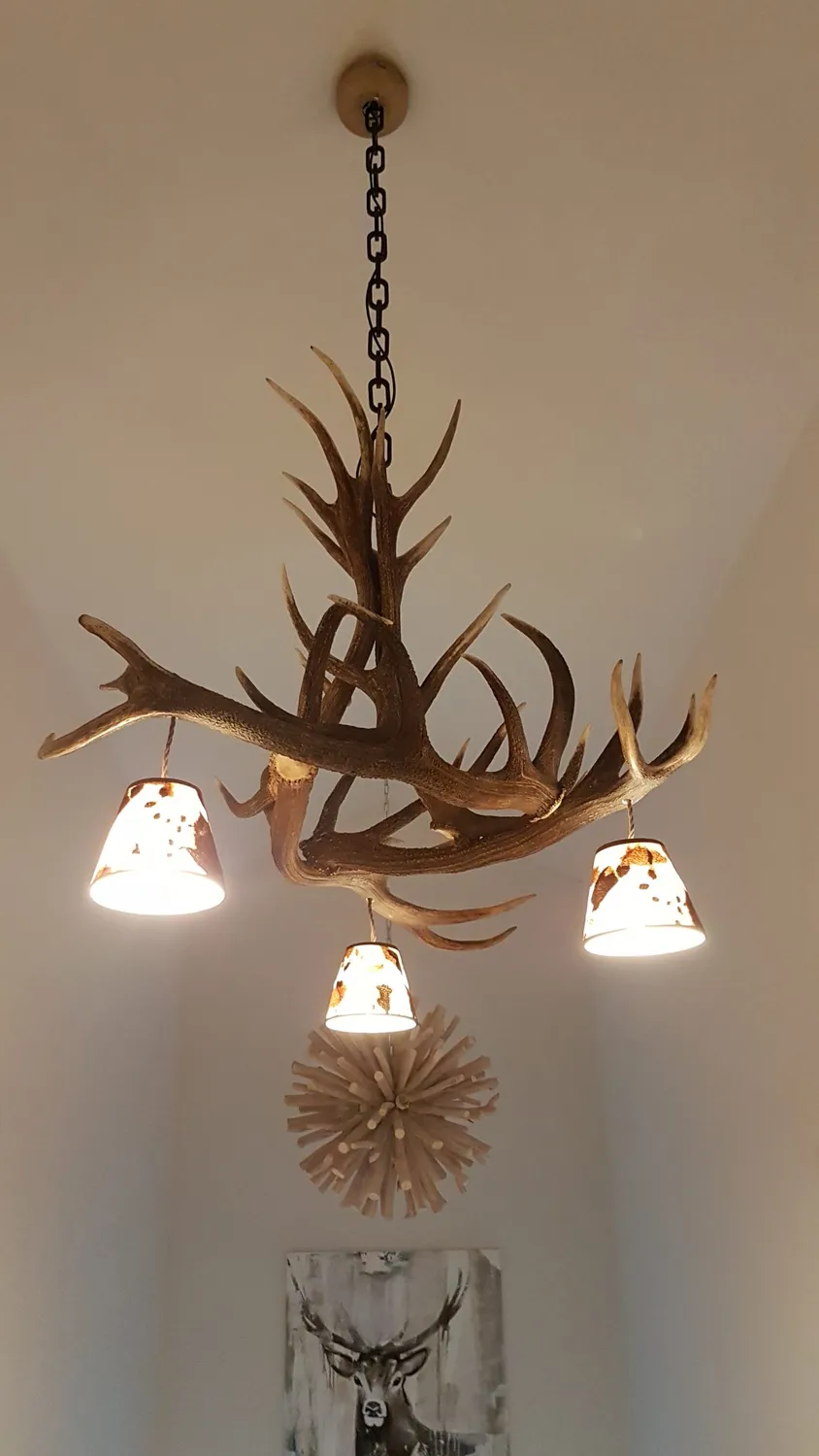 Oh My Deer Geweihlampe gevirlampe natur