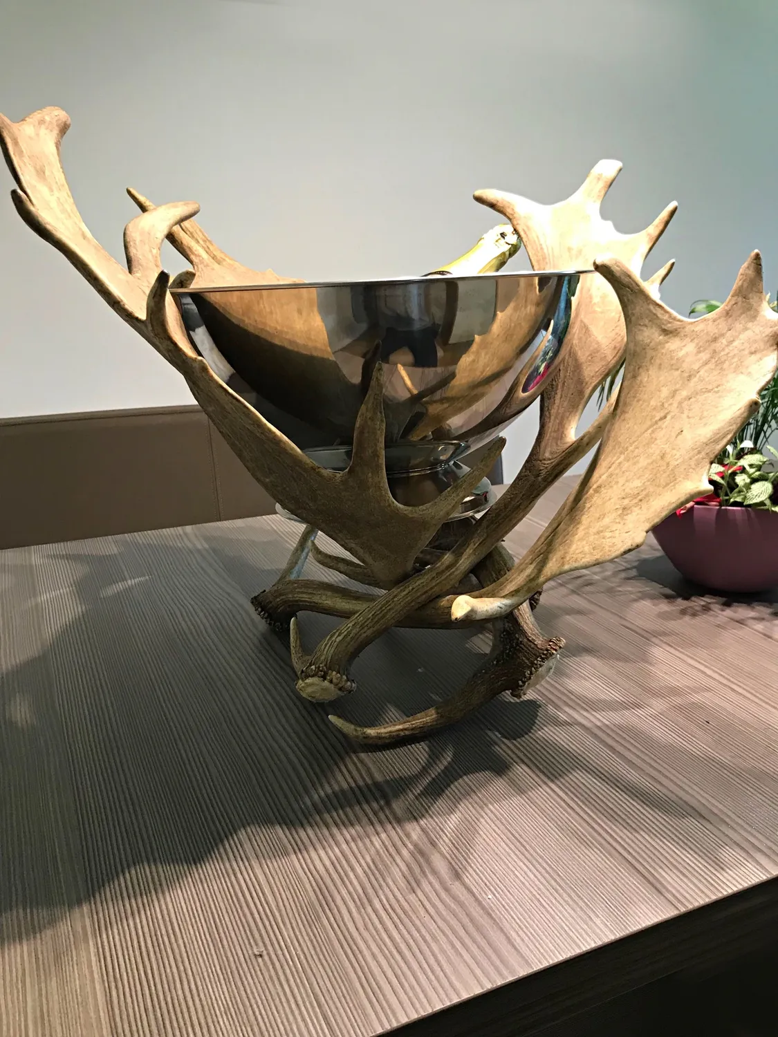 Oh My Deer Sektkühler champagnekøler gevir natur